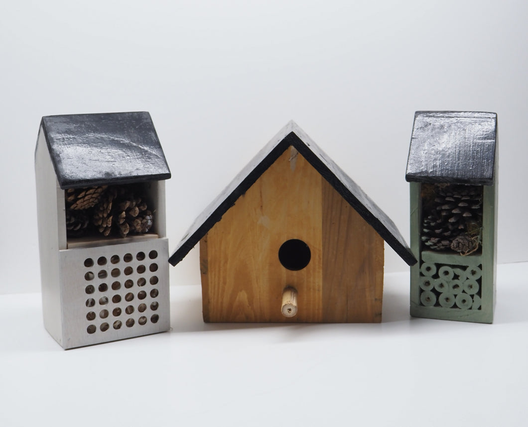 Bird and Bug Houses