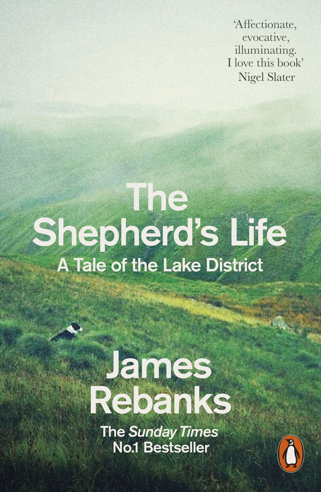 Shepherds Life: A Tale of the Lake District