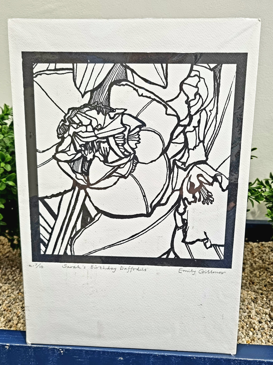 Unframed 'Sarah's Birthday Daffodils' Print (Emily Gillmor)