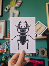Stag Beetle Print A6
