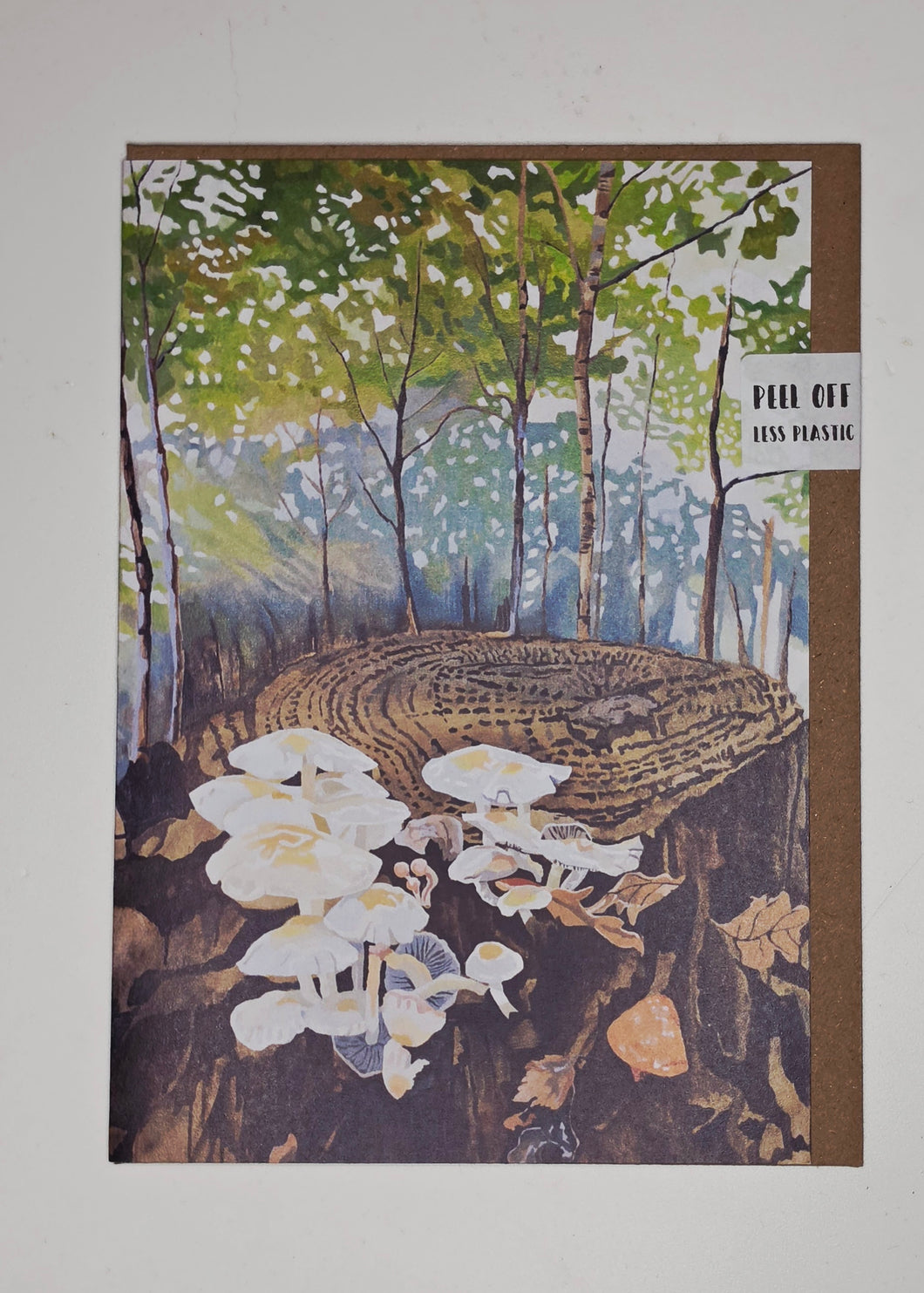 Card Woodland Renewal, Moor Barton - Rebecca Howard