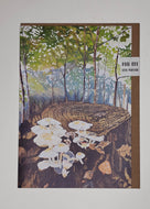 Card Woodland Renewal, Moor Barton - Rebecca Howard