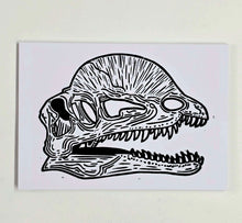 Dilophosaurus Skull A4 Print