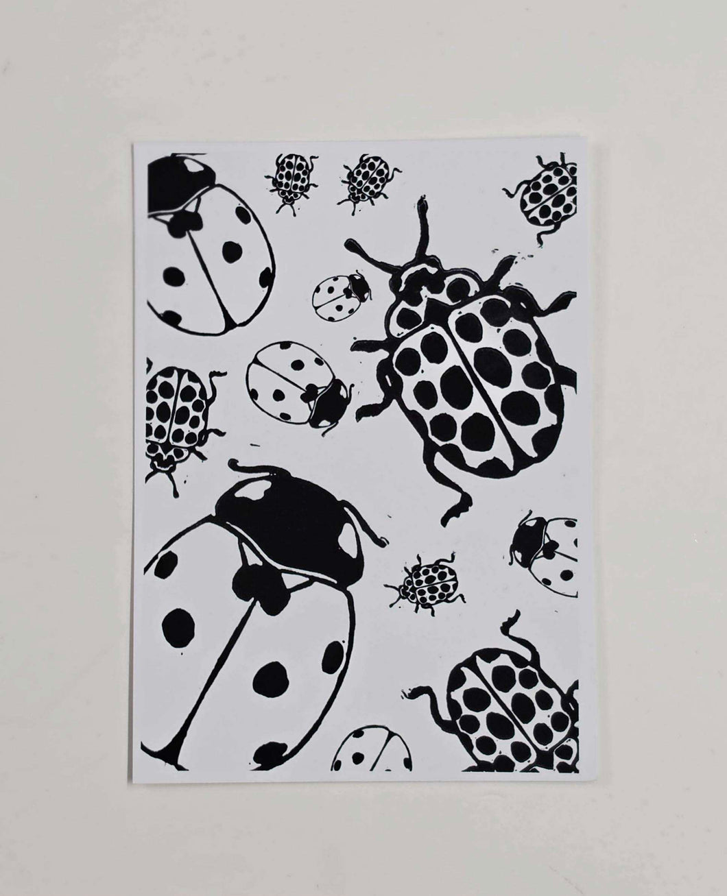 Ladybug Print A6