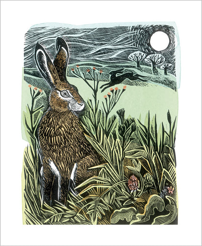Hidden Hares Card by Angela Harding (Art Angels)