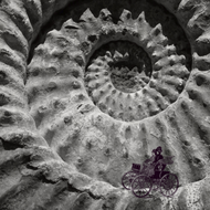 Enjoy the trip along the Ammonite - Don't get dizzy! - Card