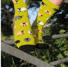 Bamboo Socks with Sheep