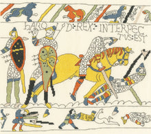 Bayeux Embroidery Kit - The Demise Of King Harold
