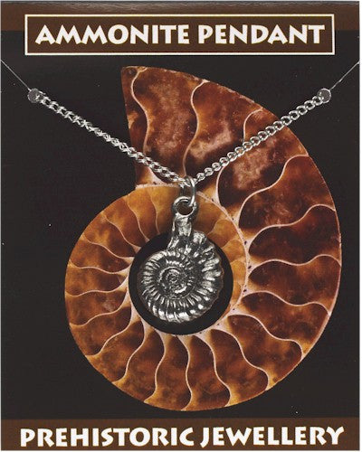 Ammonite Pendant