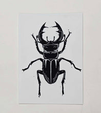 Stag Beetle Print A6