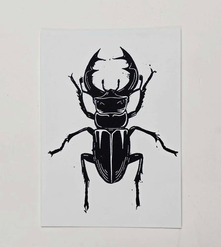 Stag Beetle Print A6