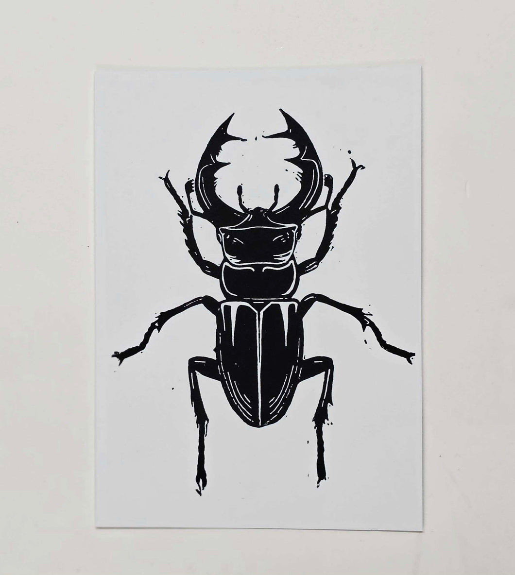 Stag Beetle Print A6