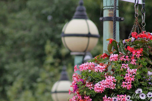 Flowers on Reading Bridge Card