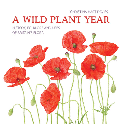 A Wild Plant Year by Christina Hart-Davies