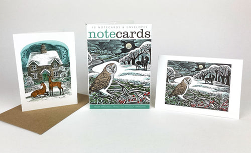 Card Pack Owl Flight & Christmas Cottage