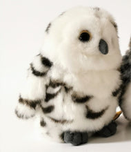 Owl Medium Soft Toy